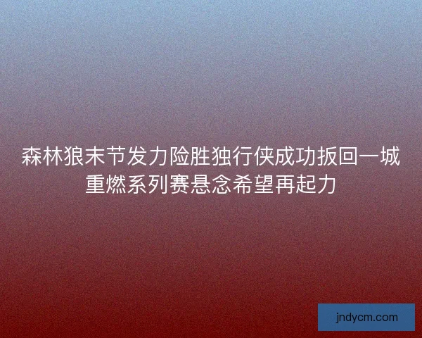 森林狼末节发力险胜独行侠成功扳回一城重燃系列赛悬念希望再起力