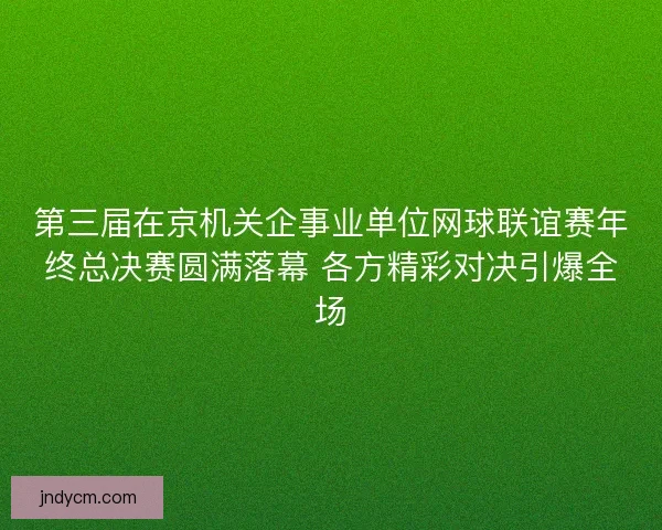 第三届在京机关企事业单位网球联谊赛年终总决赛圆满落幕 各方精彩对决引爆全场